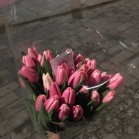 Фиолетовые тюльпаны поштучно - Крэнлей