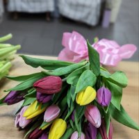 Tulips by the piece - Vishgorodok