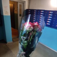 Троянда Джумілія поштучно - Дружба (Казахстан)