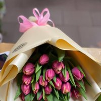 Червоні тюльпани поштучно - Маркауци