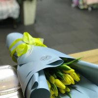 25 желтых тюльпанов - Кастель-д'Аро