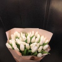 51 white tulips - Syr Darya