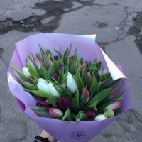 35 тюльпанов микс - Ле Чеснай