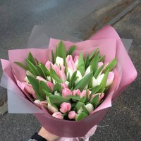 Белые тюльпаны поштучно - Лангата