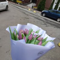 29 фіолетових тюльпанів - Кредітон