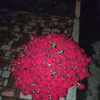 Величезний букет троянд - Макиївка