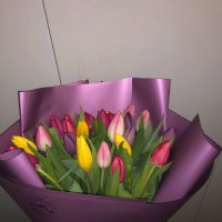 25 multi colored tulips - Colombiere
