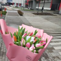 Букет тюльпанов 45 шт - Фучжоу