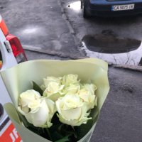 9 білих троянд - Мелітополь (доставка тимчасово не виконується)