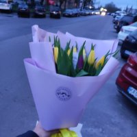 25 жовтих і фіолетових тюльпанів - Абха