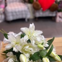 Лилия белая поштучно - Кито
