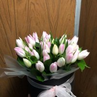 White tulips in a box - Le Chesnay