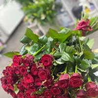 Поштучно червоні троянди 70 см - Олександрівка