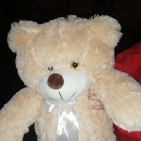 Brown teddy with a bow 60 cm - Abilene