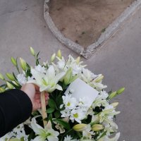 Funeral basket \ - Ljubeshov