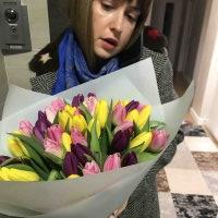 51 різнокольоровий тюльпан - Тунг-Канг