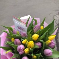 25 жовтих і фіолетових тюльпанів - Буча