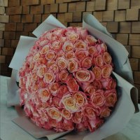 101 coral roses - Fulda