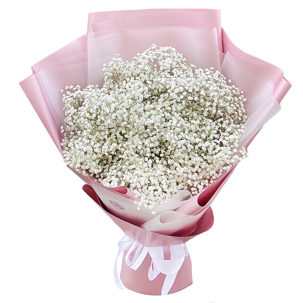 Bouquet of white baby’s breath