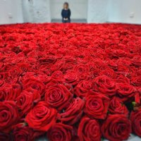 Красные цветы: 5 удивительных инсталляций 