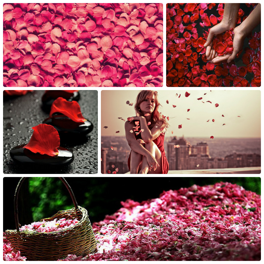 Лепестки роз на День Святого Валентина или сюрприз на День Влюбленных