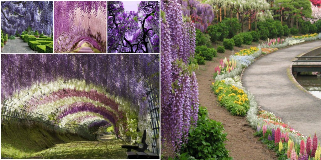 15 самых красивых садов и парков мира, которые нужно увидеть своими глазами | myDecor