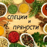 Специи и пряности: виды и использование 