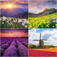 Топ 7 самых прекрасных цветочных долин мира
