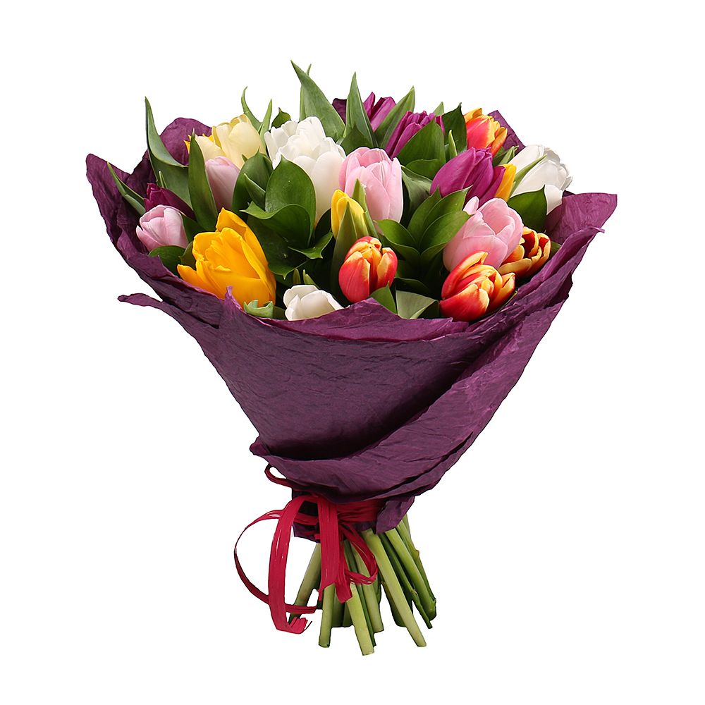 25 multi colored tulips 
