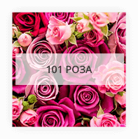 101 роза по Харькову