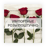 Импортные розы поштучно Мирополь