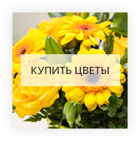 The best flowers in Danilovka