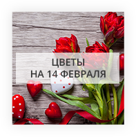 Цветы на 14 февраля Бурштын