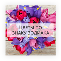 Цветы по знаку зодиака Витебск