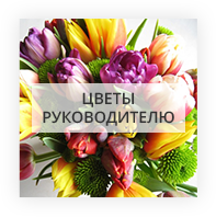 Цветы руководителю Новые Петровцы