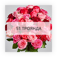51 троянда по Вовчанську