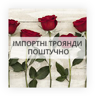 Імпортні троянди поштучно Башкалія