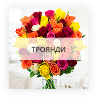 Троянди у Луганській області