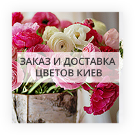 Заказ и доставка цветов Киев